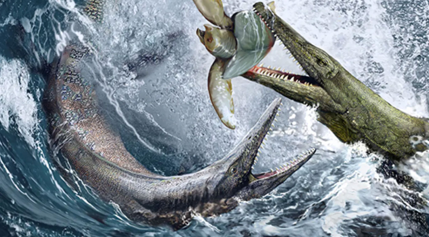 30 Best Online Zoology Courses Online Course Report