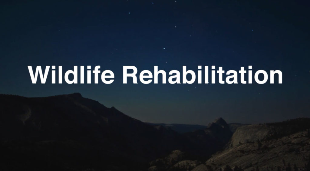 30 Best Online Zoology Courses Online Course Report