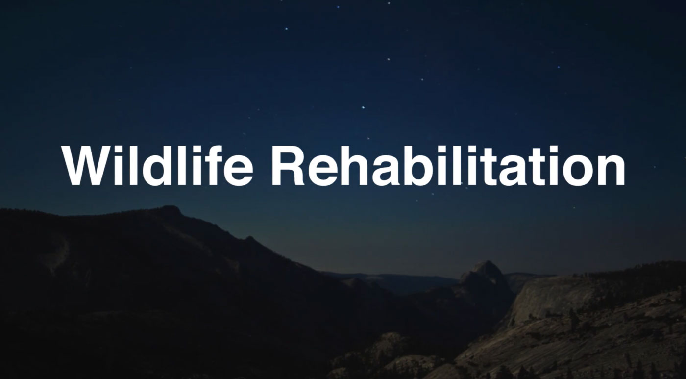 30 Best Online Zoology Courses Online Course Report